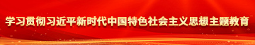 我要屄操学习贯彻习近平新时代中国特色社会主义思想主题教育